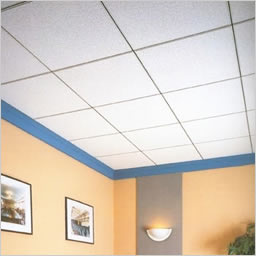 Vinyl Gypsum Board