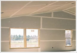 Gypsum Board